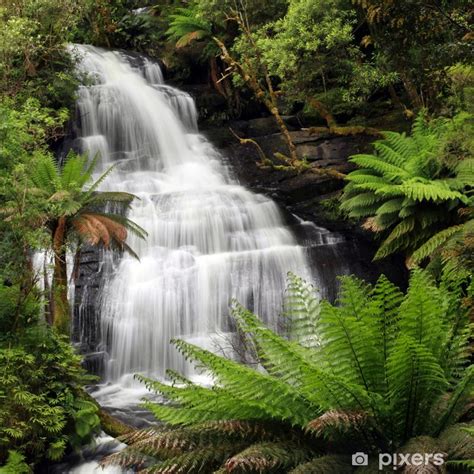 Poster Rainforest Waterfall Pixersuk