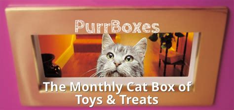 Buy cat treats and get the best deals at the lowest prices on ebay! PurrBoxes - Monthly Cat Treat Box That Will Make Them Purr ...