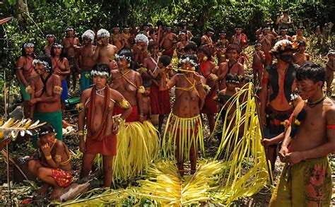 The Yanomami Tribe Of The Amazon Rainforests Only Tribal