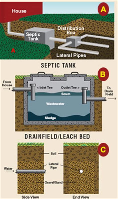 Bacteria are what makes a septic system work. Septic Systems