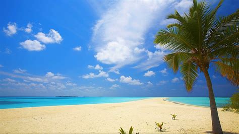 Sandbar In Tropical Ocean