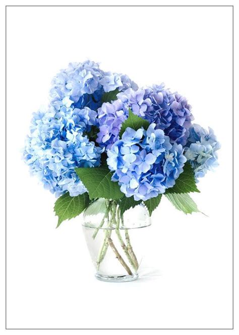 Hydrangea Vase Beautiful For Any And Every Occasion By Nwpitneyink 399