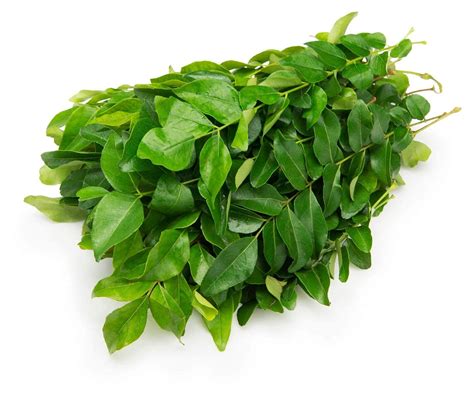 Fresh Curry Leaves G Bunch Amazon In Grocery Gourmet Foods