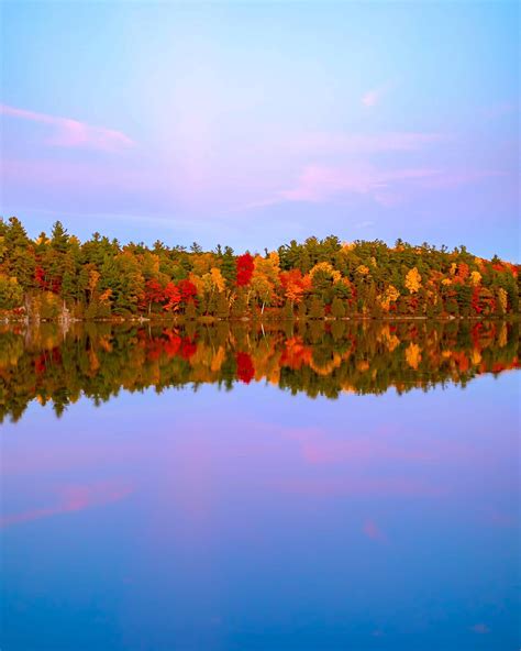 Autumn Landscape Reflected In Pink Lake Gatineau Park Canada Photo