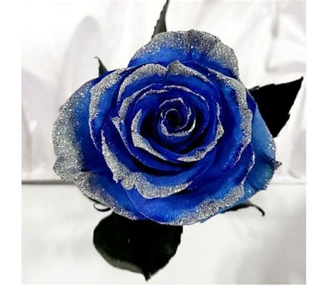 Pin By Jamie Taylor On Wedding Stuff Blue Rose Bouquet Rose Glitter