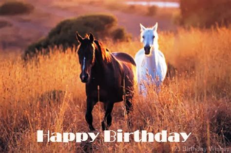 Birthday Wishes With Horse