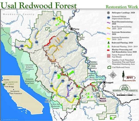 10 Reasons To Support Redwood Forests Redwood Forest Foundation Inc