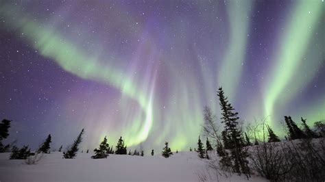 Aurora Borealis Northern Lights Snow Winter Night Stars Hd Wallpaper