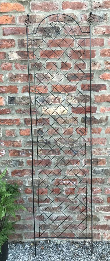 A perfect space saver for those of us with little room to garden, this clever trellis made from metal cattle panels enables you to grow goodies like cucumbers, pole. UK Garden Supplies Metal Garden Trellis 200cm high