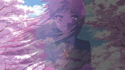 Drawing Illustration Long Hair Anime Purple Cherry Blossom Wind