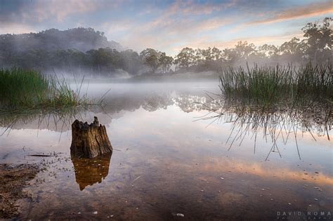 David Roma Photography Dunns Swamp Nsw Australia