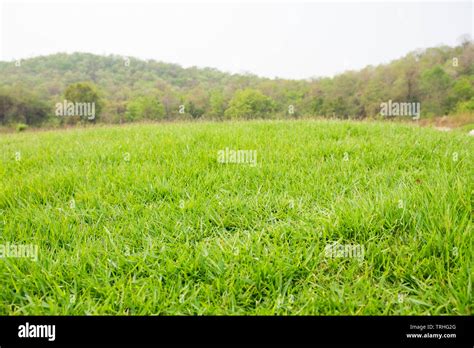 Mound Slope Hi Res Stock Photography And Images Alamy