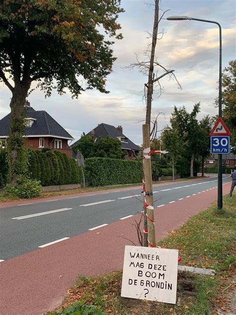 Bomen In Opstand Actie Van Bewoners Nieuwe Bussummerweg In Huizen