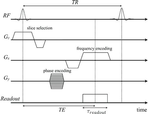 Diagram Of A Typical Gradient Echo Pulse Sequence With Frequency And