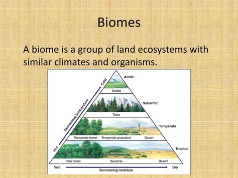 Ppt Biogeography The Study Of Where Organisms Live Powerpoint