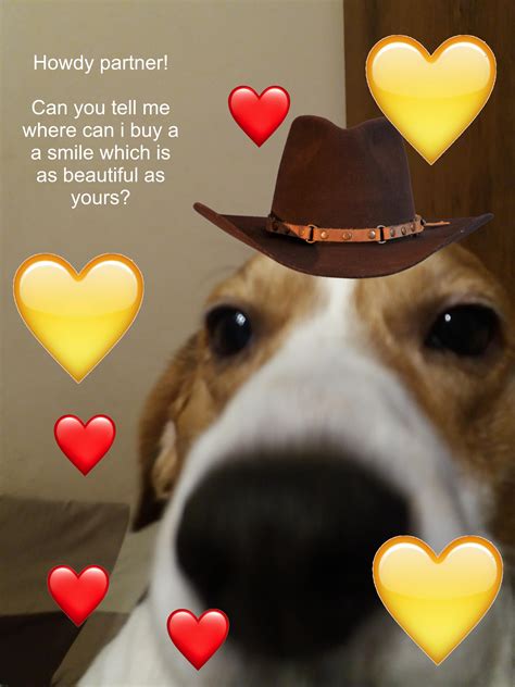 Howdy Beautiful Person Rwholesomememes Wholesome Memes Know