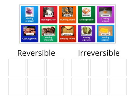 Reversible Or Irreversible Changes Group Sort