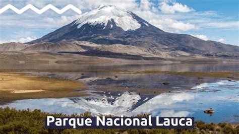 Guía Parques Nacionales Que Deberías Conocer En Chile