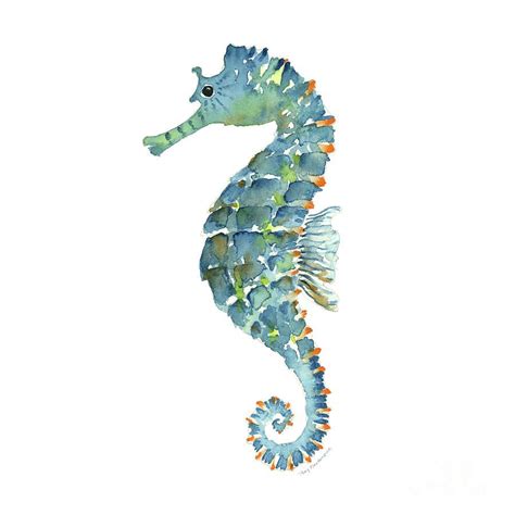 Blue Seahorse By Amy Kirkpatrick Seahorse Art Seahorse Painting