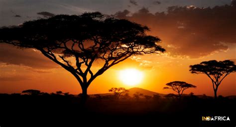 Tanzania And Kenya Encompassed 10 Day Indafrica Travel