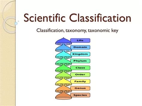 Ppt Scientific Classification Powerpoint Presentation Free Download