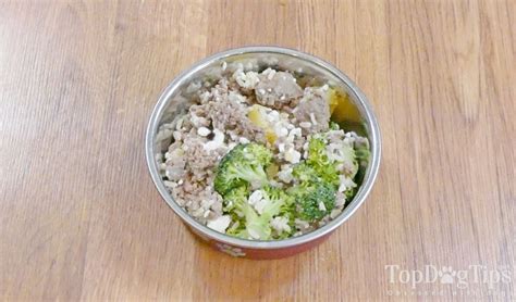 A homeopathic supplement might also help a dog recover from pancreatitis as an added layer of support. Recipe: Homemade Dog Food for Pancreatitis | Dog food ...