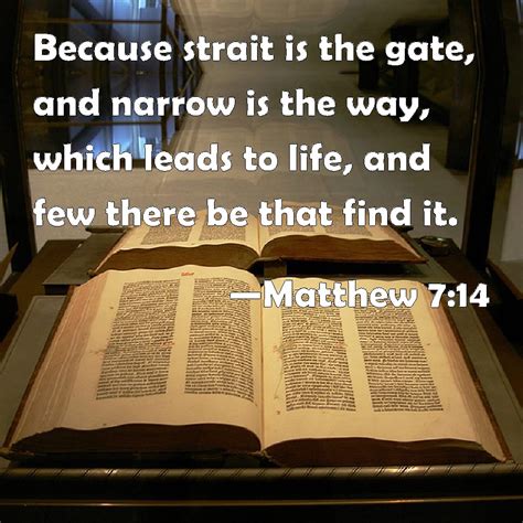 Matthew 714 Because Strait Is The Gate And Narrow Is The Way Which