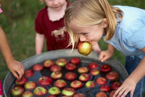 Why Do We Bob For Apples On Halloween Martha Stewart