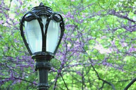 The Top Of A Lamp Post With Trees In The Background Manhattan New