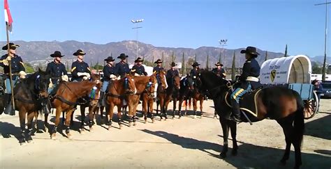 Fort Hood Horse Cavalry Detachment Going To Dc For Inaugural Parade