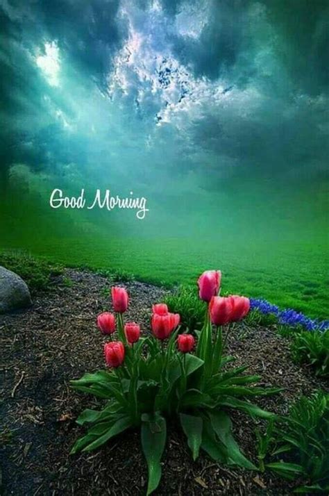 31 Good Morning Greetings Pictures And Wishes With