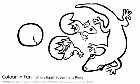 Animal Dinosaurs Pteranodon Coloring Pages Free Printable For