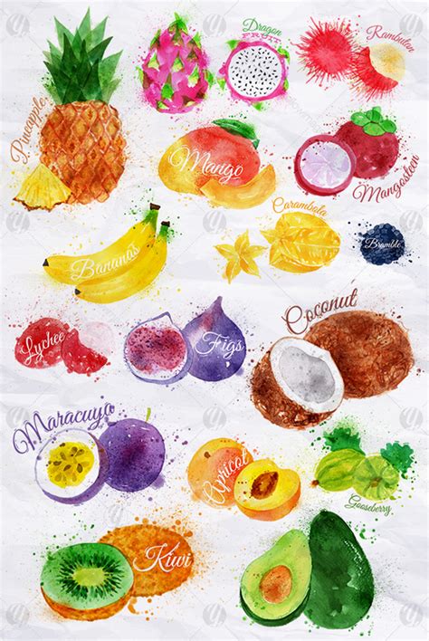 Fruits Watercolor In Illustrations On Yellow Images Creative Store