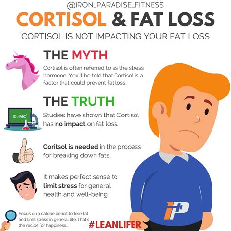 Elevated Cortisol Is Not Impacting Your Fat Loss Cortisol Is