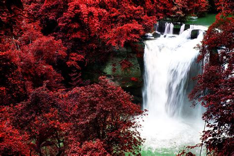 Waterfall Flowing Through Red Leafy Autumn Forest Wall Mural