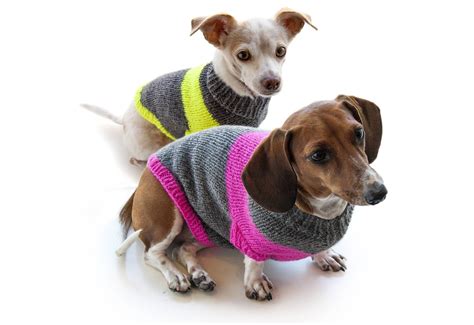 Beginner Easy Knit Dog Sweater Patterns Free