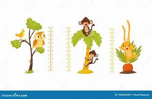 Height Chart For Kids With Funny Animals Vector Set Stock Vector