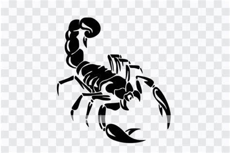 Scorpion SVG Cut File Clipart Silhouette Afbeelding Door Happy Heart