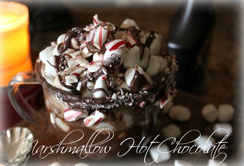 ~marshmallow Hot Chocolate Oh Bite It