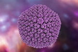 Herpes Simplex Virus 2 Antigen - The Native Antigen Company