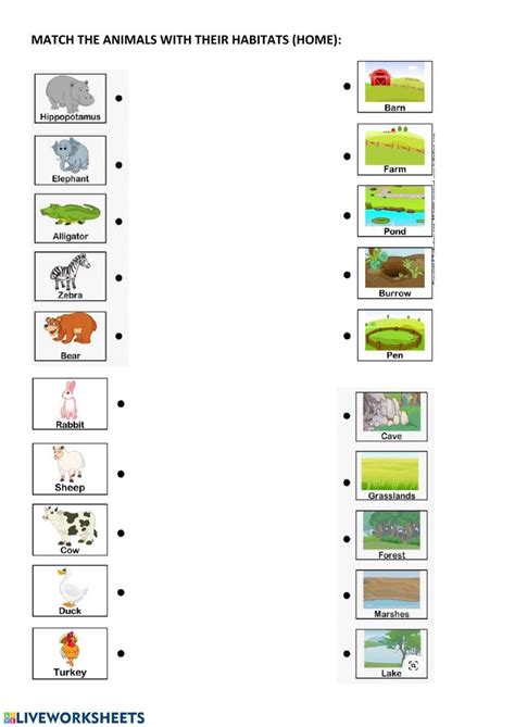 Animal Habitats - ESL worksheet by Anna P - Worksheets Library
