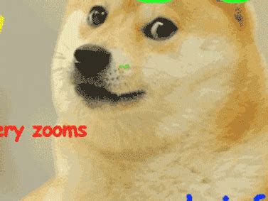 Fast, online, and powerful, kapwing lets export your meme directly as jpg or mp4. Doge GIFs - Find & Share on GIPHY