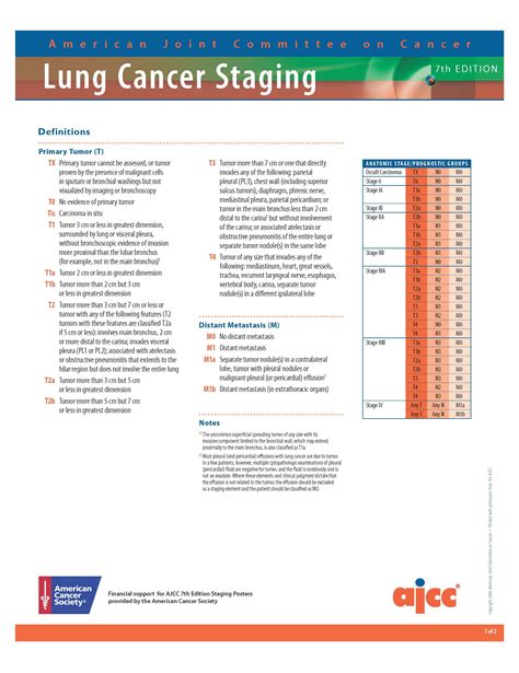 Ajcc Staging Manual 8th Edition Pdf