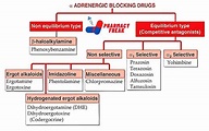 CLASSIFICATION OF ALPHA ADRENERGIC BLOCKERS - Pharmacy Freak