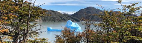 Grey Lake Viewpoint Magallanes Chile 110 Reviews Map Alltrails