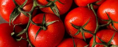 Here S Why A Tomato Is Actually Both A Fruit And Vegetable Sciencealert