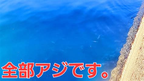 絶望的状況が急変！アジング・アジ釣りが・・・こんな状況ではこの釣りには勝てません Youtube