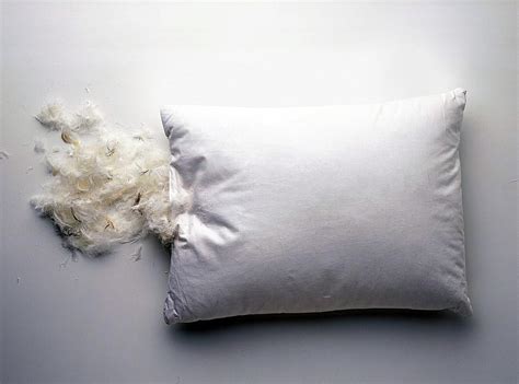 Down pillows are made from the soft feathers on the underside of a goose. How to Wash Feather Bed Pillows