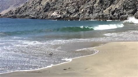 7 bewertungen, authentische reisefotos und günstige angebote für hotel playa sur. Playa escondida, Antofagasta. - YouTube