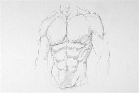 How To Draw Abs A Step By Step Guide To Creating An Abs Drawing